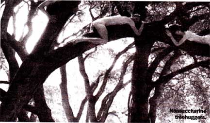 tree sitters in Oak Grove