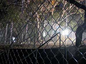 oak grove barbed wire fences