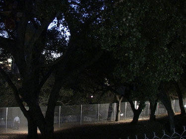 oak grove fence