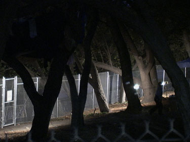 oakgrove fence
