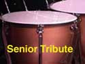 steel drum graphic