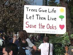 oak grove sign