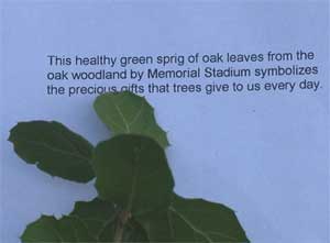 oak leaf message