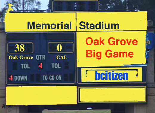 Seven reasons why the Oak Grove should not be destroyed