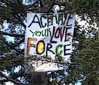 phoenix banner