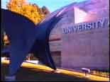 Outside UC Art Museum