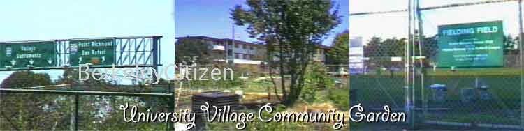 village community garden