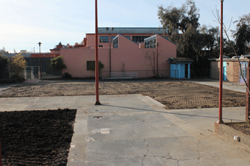 Willard pool, Berkeley landfill