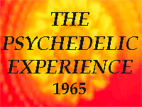 psychedelic Experience