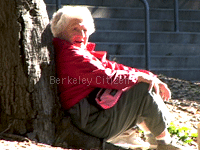Sylvia McLaughlin