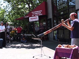 Stephen Kent, Berkeley World Music