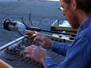 Michael Masley, Berkeley World Music 2006