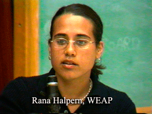 Bridging the Digital Divide, Public Workshop and Panel Discussion, Rana Halpern, Women's Economic Agenda Project (WEAP)