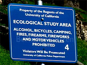 construction of Nanao Lab at LBNL