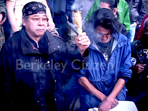 Berkeley Memorial Oak Grove