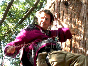 Berkeley Memorial Oak Grove