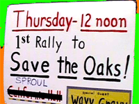 oak gorve tree sit 1st rally