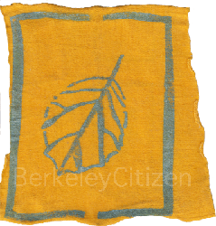 oakgrove badge