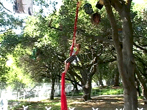 Cirkus Pandemonium plays the Memorial Oak Grove