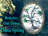 Dona Spring defends the Berkeley Oak Grove