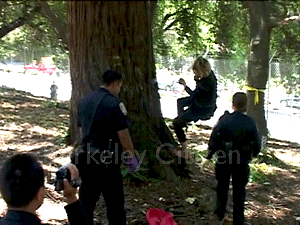 Tree-sitter medical issues Memorial Oak Grove