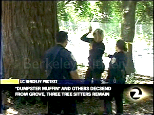 Tree-sitter medical issues Memorial Oak Grove