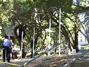 First fence erected at Memorial Oak Grove Berkeley