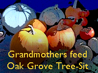 Grandmothers feed Berkeley Oak Grove Tree-Sit