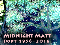 Midnight Matt Dodt