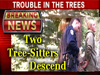 Two tree-sitters descend Memorial Oak Grove