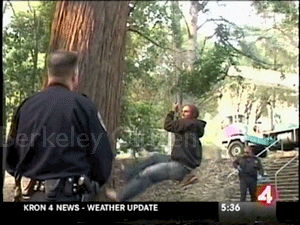 Two more tree-sitters descend Memorical Oak Grove