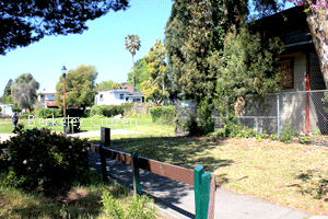 Ohlone Park East challenged landscape