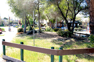 Ohlone Park East challenged landscape