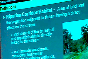 Bay Area Stream Setbacks and Buffers