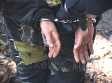 tree sitter in cuffs