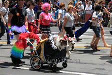 Berkeley & San Francisco PRIDE 2013